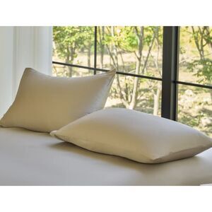 Doz by Sijo Organic Bamboo Pillowcase Set King Fog NWOT